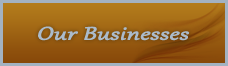 Our Businesses
