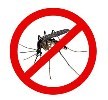 no-mosquito