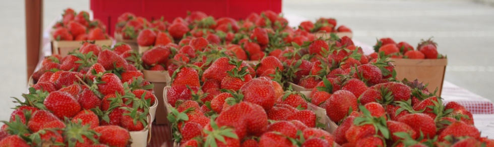 Farmers Market