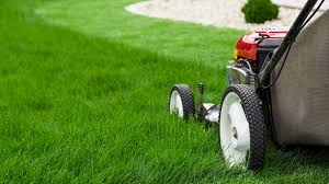 Lawn