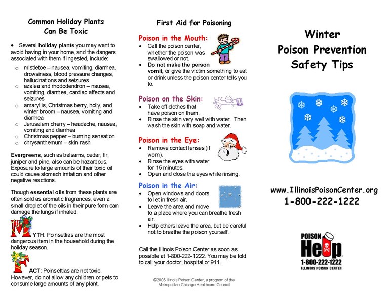 Winter_Brochure_Page_1