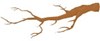 tree-branch