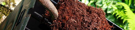 composting_line