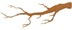 tree-branch