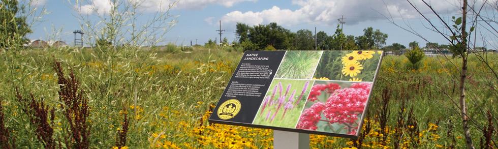 Native landscaping