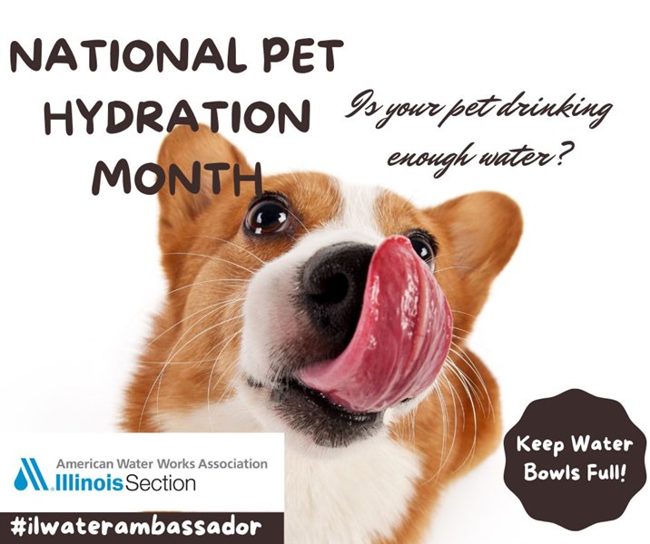 National_Pet_Hydration_Month2