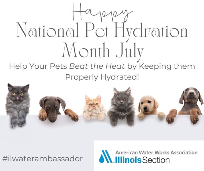 National_Pet_Hydration_Month_July