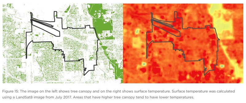 Tree_heat_map