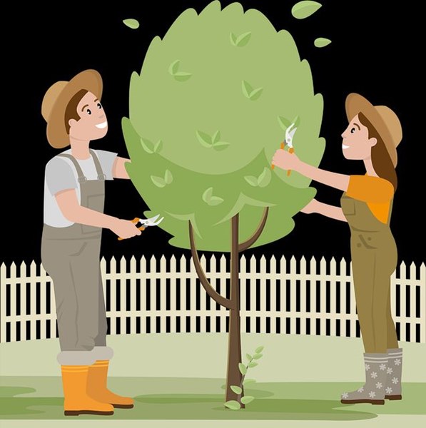 gardener-_trimming