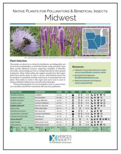 NativeBeeMidwest