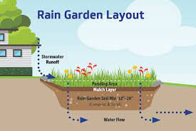 Rain_Garden
