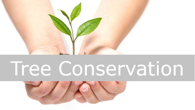 Tree Conservation