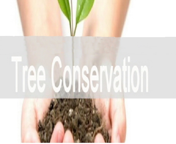 Tree_Conserve_Header