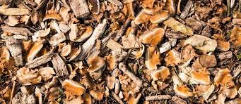 Woodchips